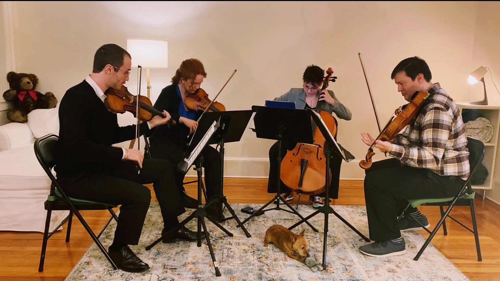 Havenwood String